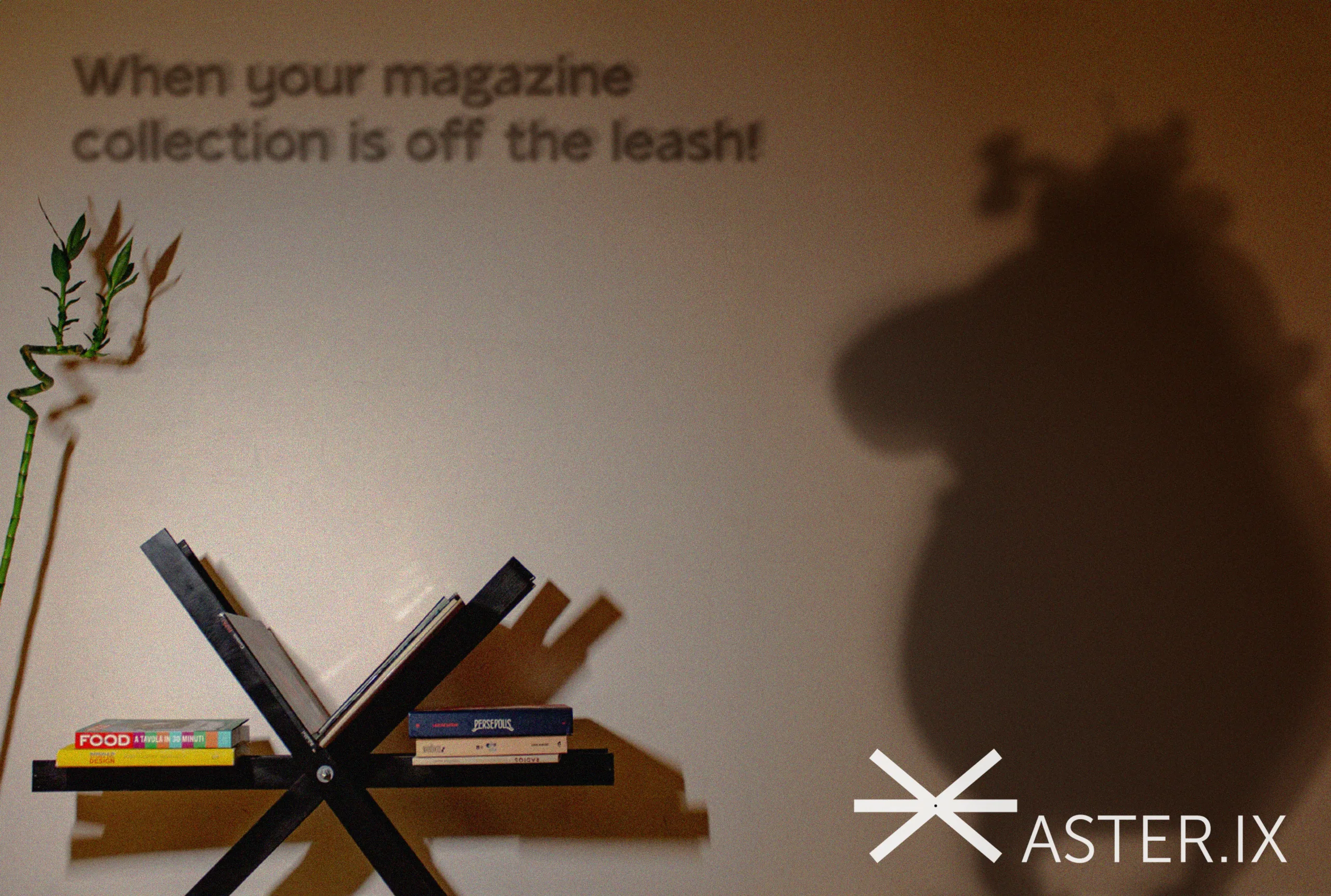 asteriX — product, image 1 of 13